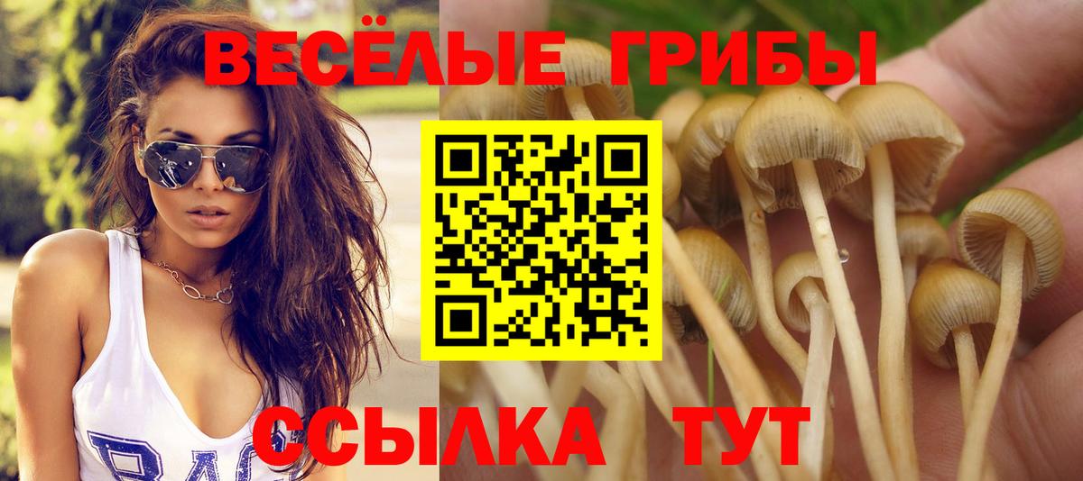 Галлюциногенные грибы мухоморы Солнечногорск