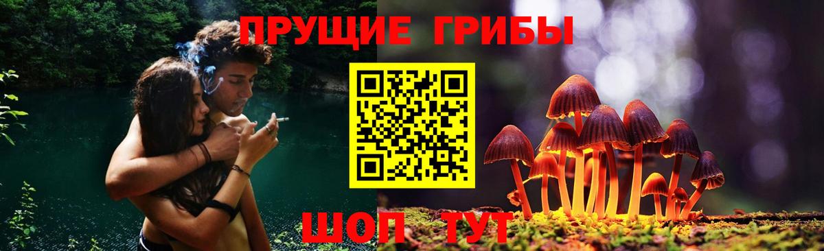 Солнечногорск  Галлюциногенные грибы мухоморы  Вход с VPN 